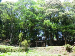 牛頭神社の社叢
