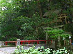 岡川八幡神社の社叢