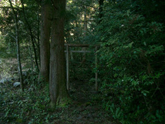 篠原八幡神社の社叢