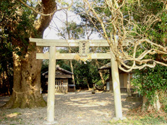 岡藤で覆われる田中神社