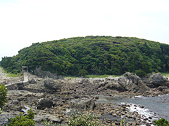 江須崎島の樹林