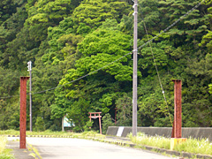 水底神社の社叢
