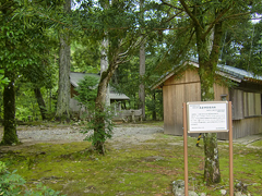 高倉神社の境内林