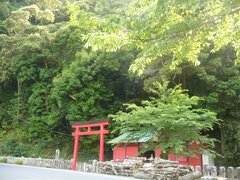 古座川八坂神社の社叢