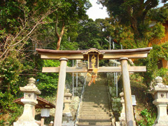 堅田八幡神社の社叢