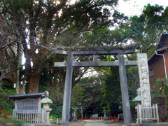 熊野三所神社の社叢